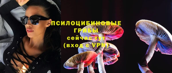 PSILOCYBIN Бородино