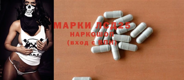PSILOCYBIN Бородино