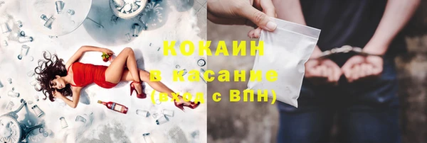 PSILOCYBIN Бородино