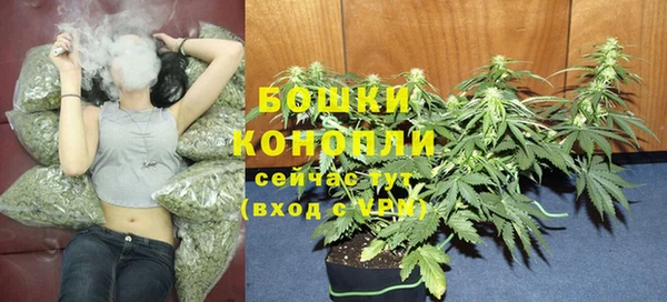 PSILOCYBIN Бородино
