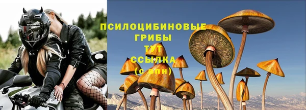 PSILOCYBIN Бородино