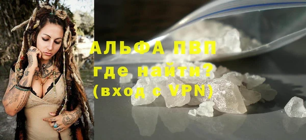 PSILOCYBIN Бородино