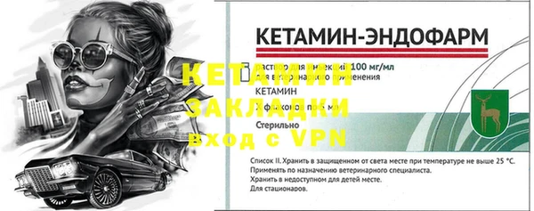 PSILOCYBIN Бородино