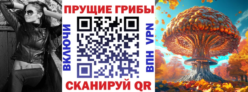 МЕГА tor  закладки  Ачинск  Псилоцибиновые грибы мухоморы 